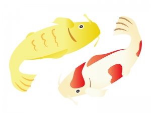金と紅白の鯉の年賀状イラスト 年賀状の無料テンプレートやイラスト