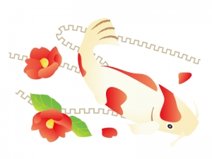 紅白の鯉と椿の年賀状イラスト 年賀状の無料テンプレートやイラスト